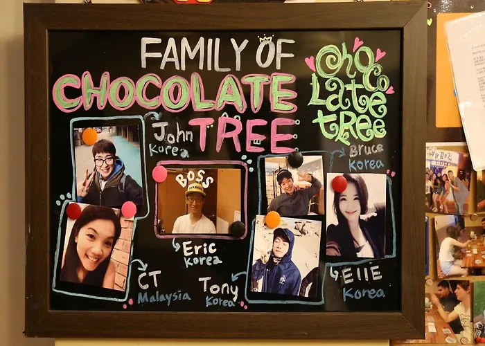 Pensión Chocolate Tree Sinchon