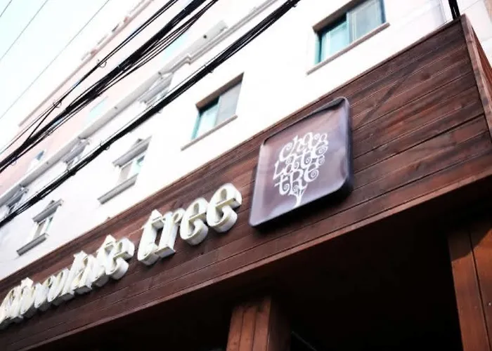 Chocolate Tree Sinchon Pensión