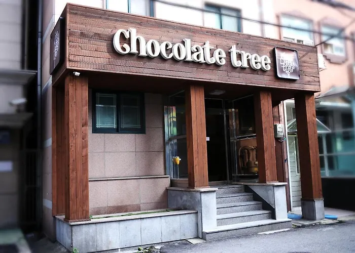 Pensión Chocolate Tree Sinchon